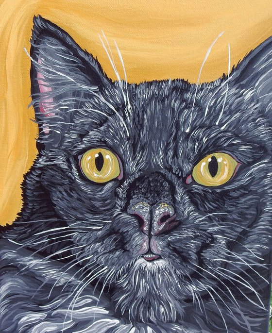 Black Cat Pet Art Original Canvas 8 x 10-Carla Smale