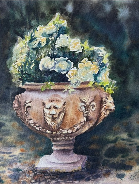 Roses in the shade