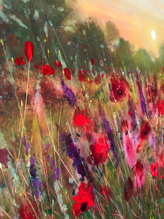 Poppy Garden Dream