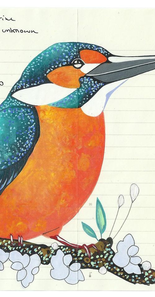 Birds of Europe: Kingfisher Looking Right by Fran Giffard