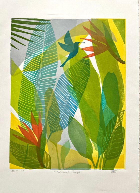 Tropical Shapes