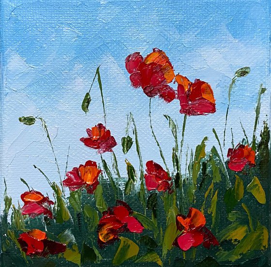 Poppies