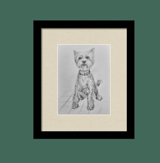 Set of three cute dogs