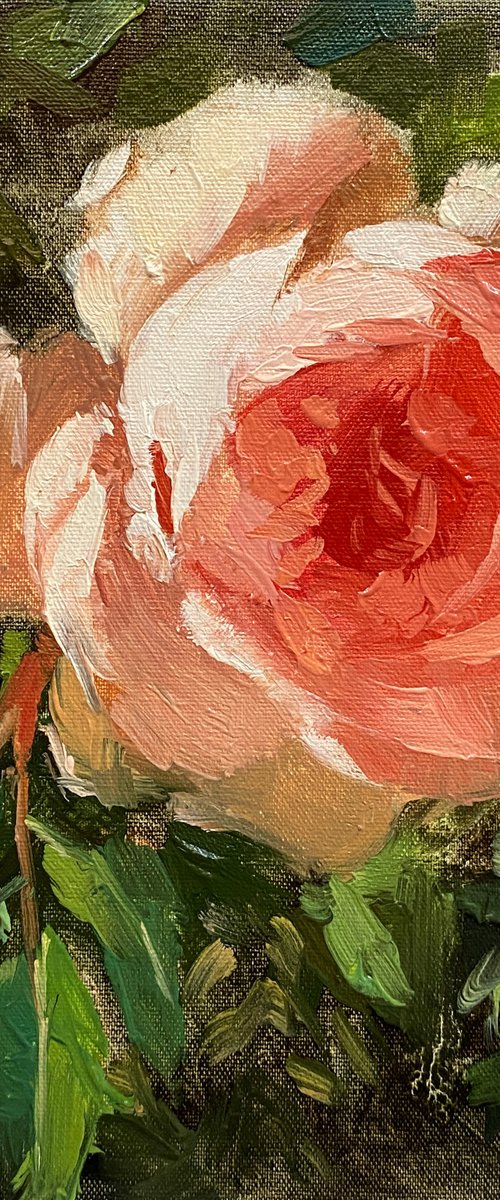 Rose Beauty #3 by Ling Strube