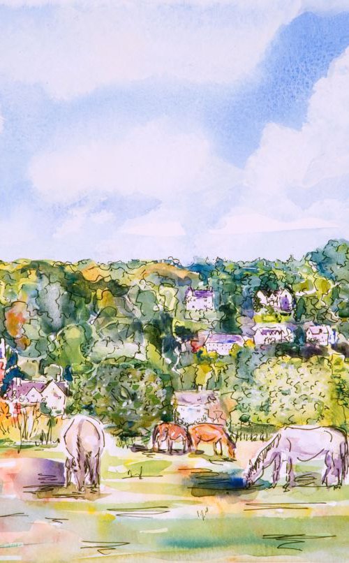BISLEY VIEW by Diana Aungier-Rose