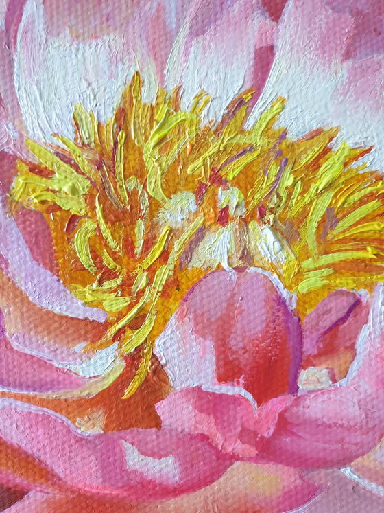 "Before the transformation... "   peonies flower 2021