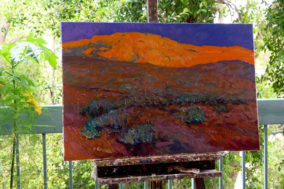 Sunset in the Desert. Arizona