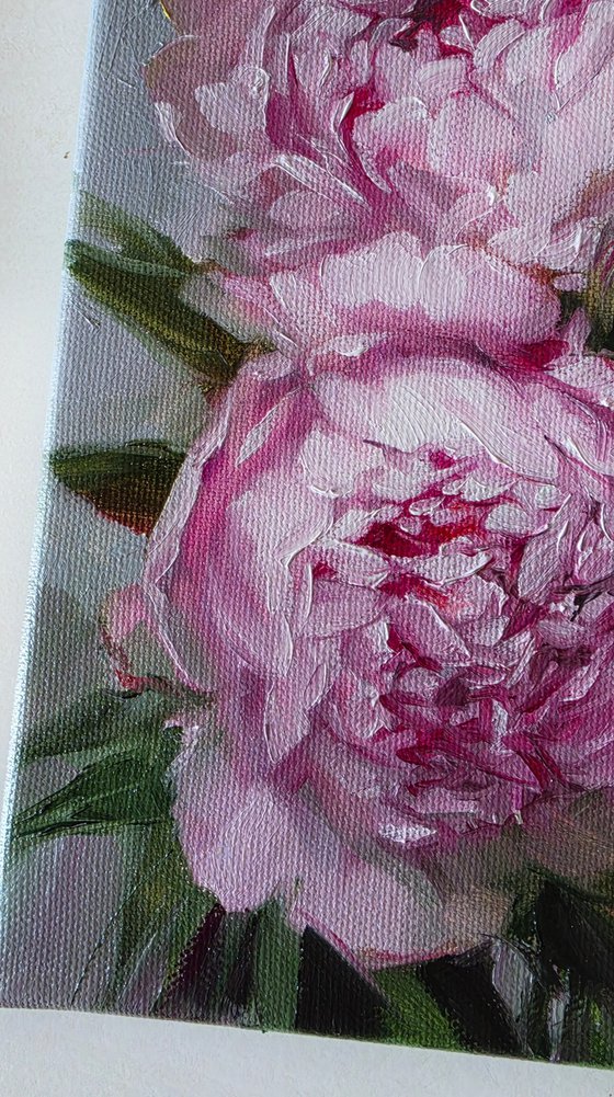 Whispers Peonies