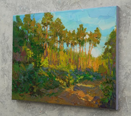 Warm evening in the forest