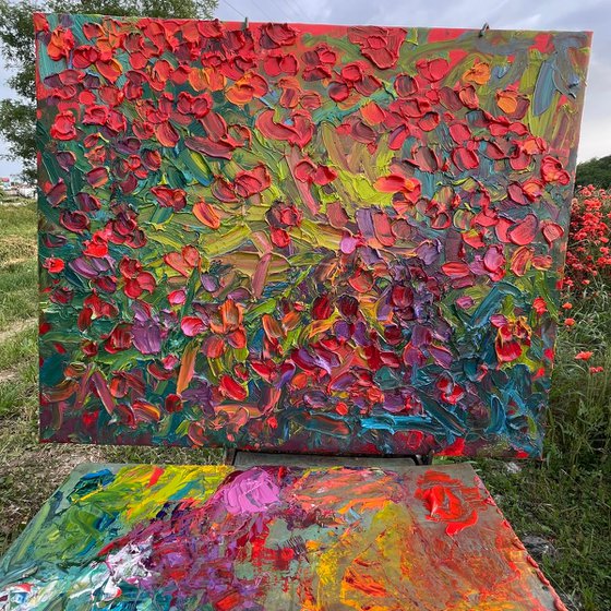 Poppies