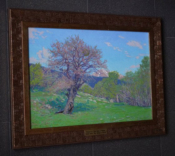 May. Spring in Teberda