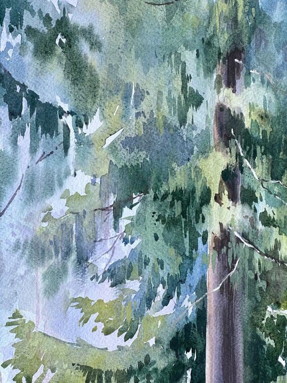 Pine