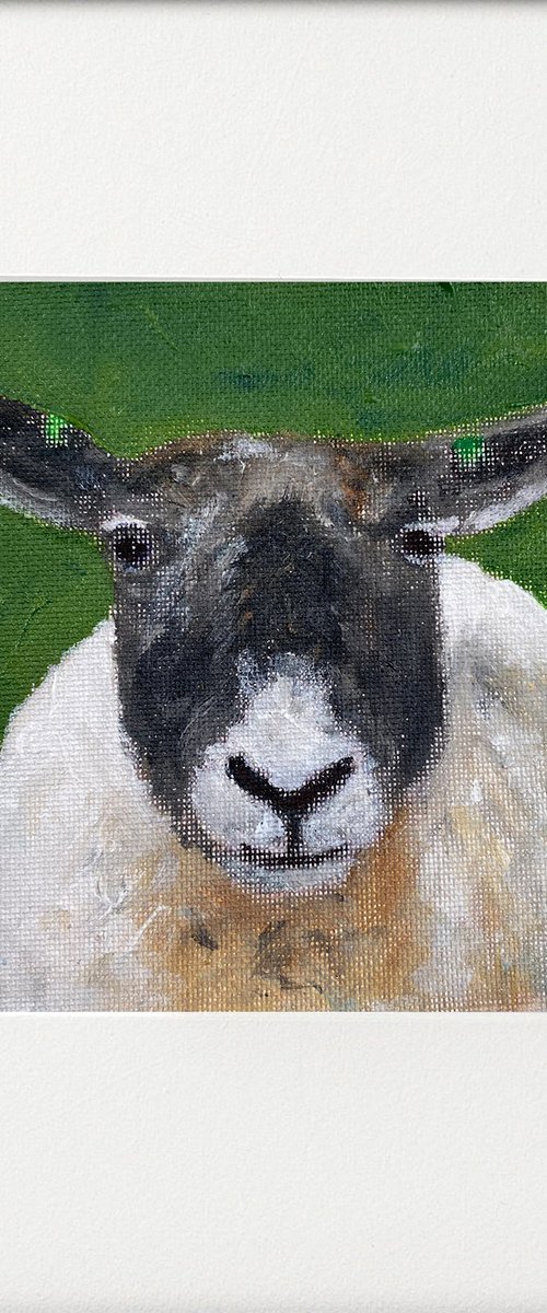 Happy Sheep! by Teresa Tanner