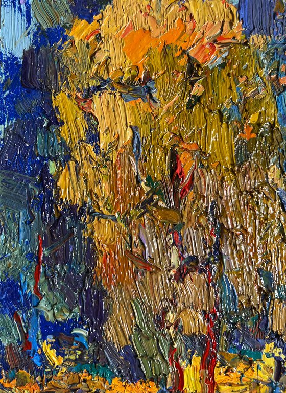 Sunbeams on the meadows