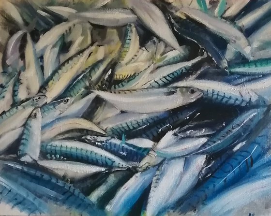 Mackerel catch