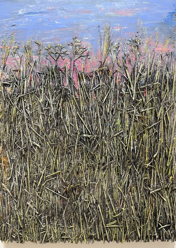 Eternal Horizon Mirage I