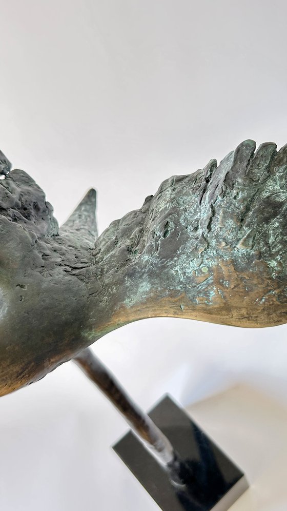 Emerald Flight Reverie, no.V/VIII