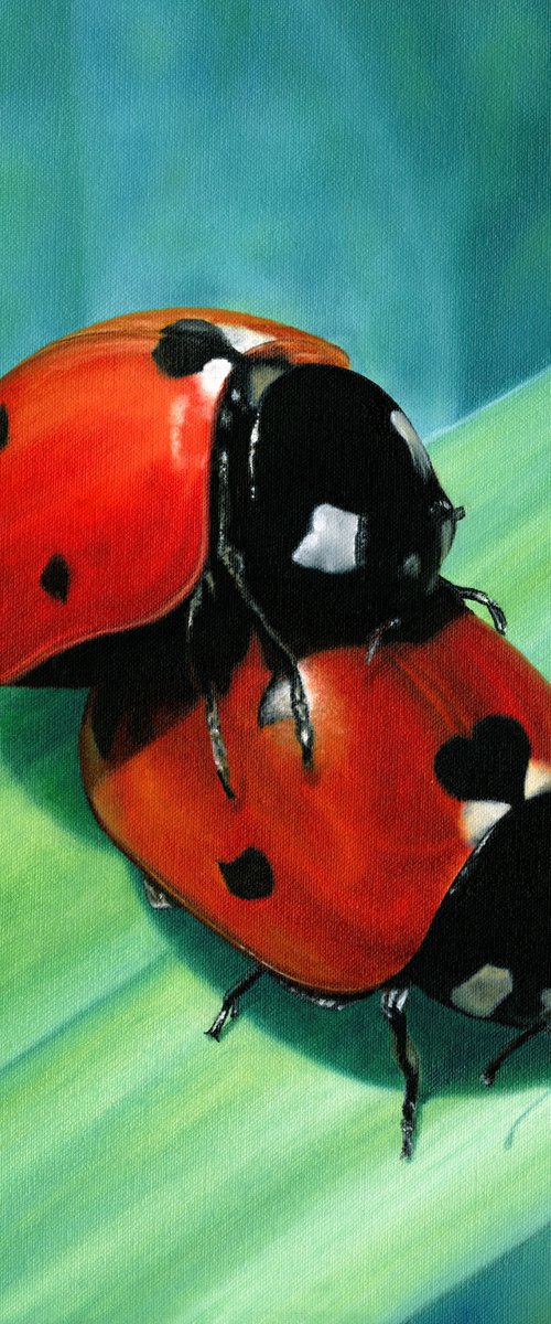 Ladybug Love by Marlene Llanes