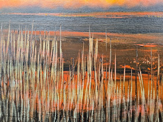 Marshland Solace