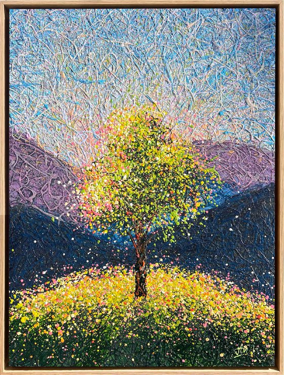 Where Silence Becomes Joy