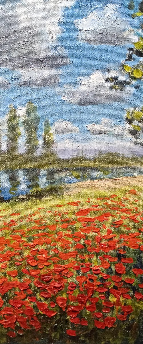 Poppy field by the river by Oleh Rak