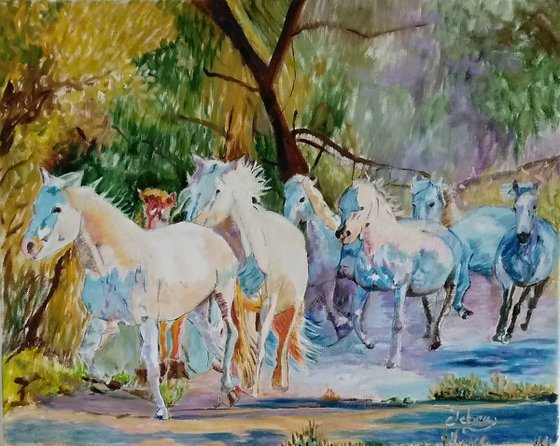 White horses in the countryside