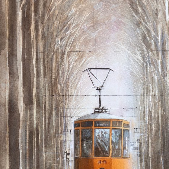 Vintage Tram Passing Through the Tree Tunnel