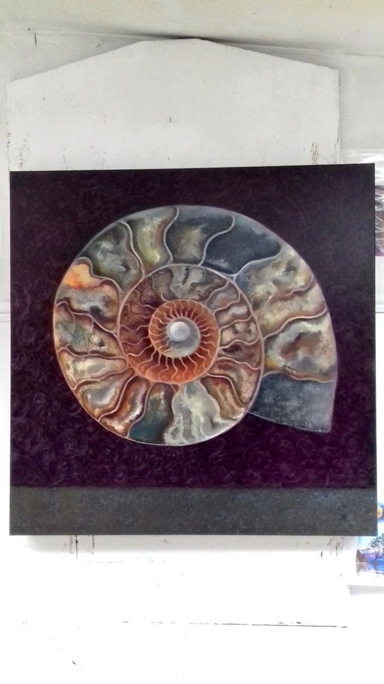 Ammonite Magenta