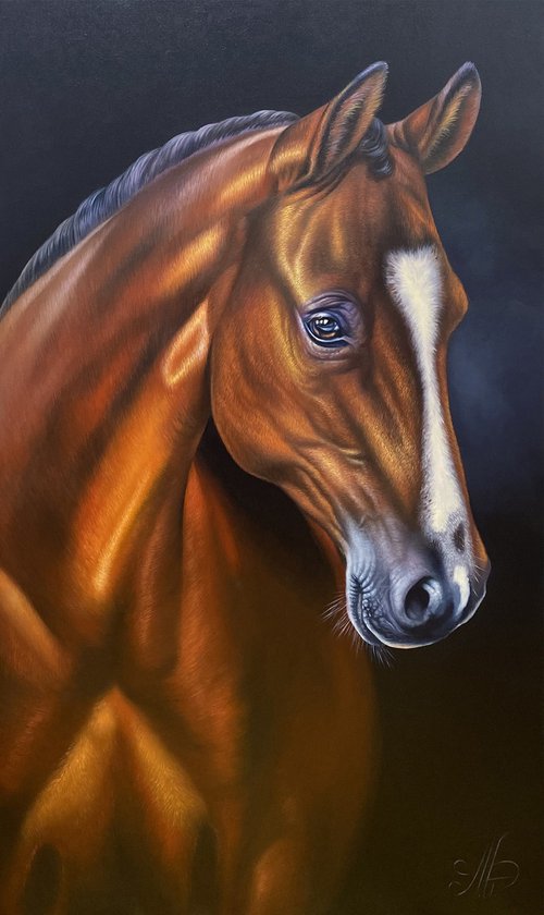 Horse portrait by Artak Galstian