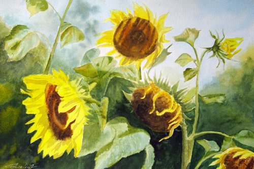 Sunflowers by Elena Gaivoronskaia