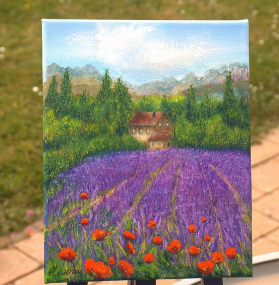 Lavender field