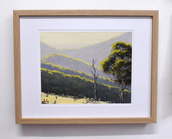 Summer Australian Landscape