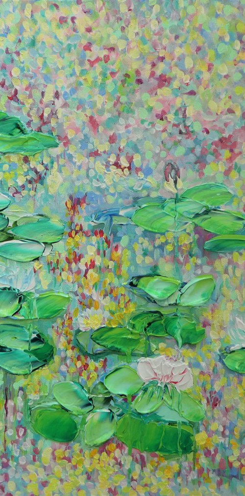 The lily Pad by Lesley Blackburn