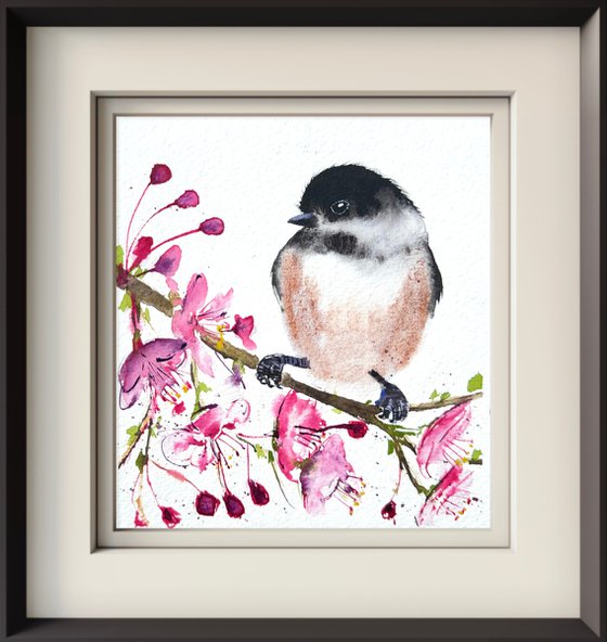 Black-capped chickadee Blossom