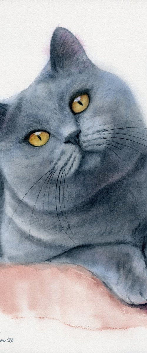 Cat portrait 28x40 cm by Tetiana Koda