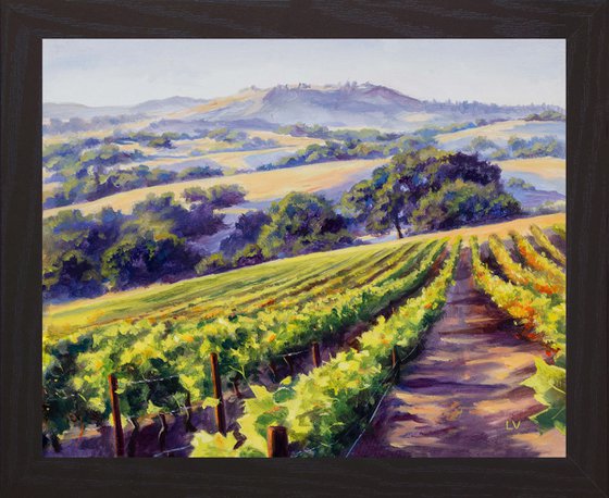 California vineyard landscape