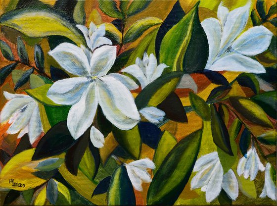 White magnolias