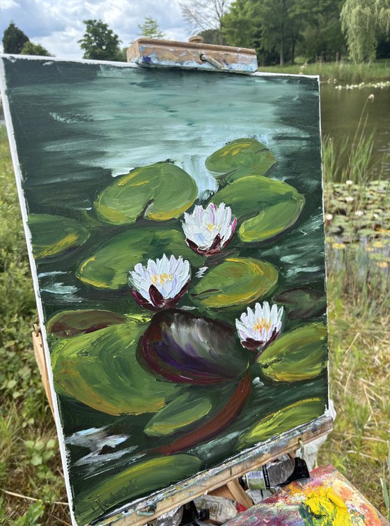 Serenity of Water Lilies