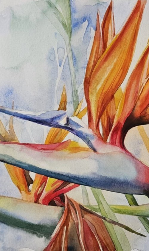 Whisper of Paradise by Olena Kosenko