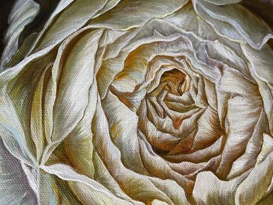 Whispers of Ivory