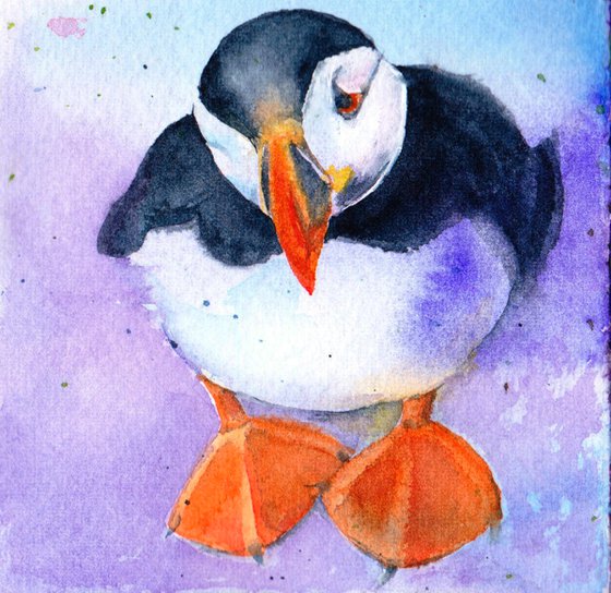 Puffin painting, Puffin in watercolour, Original Watercolour Bird painting, Puffin Art