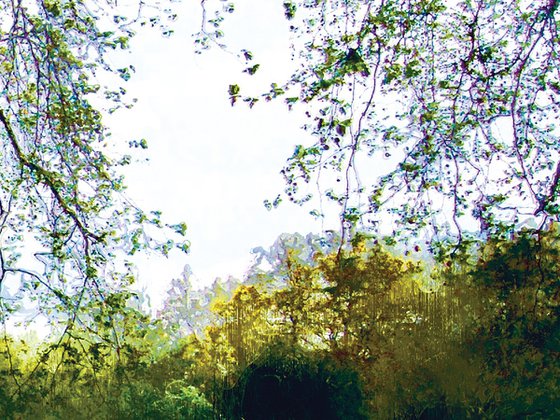 Paisajes ingleses 5