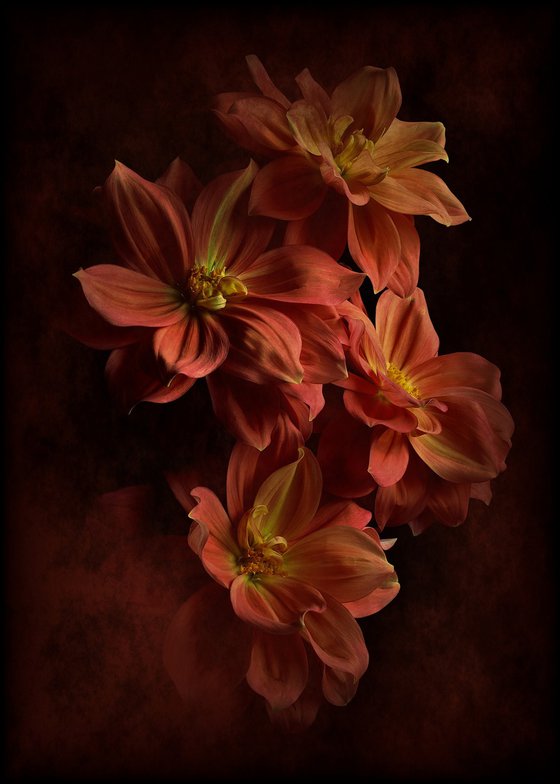 Vermilion Lilies