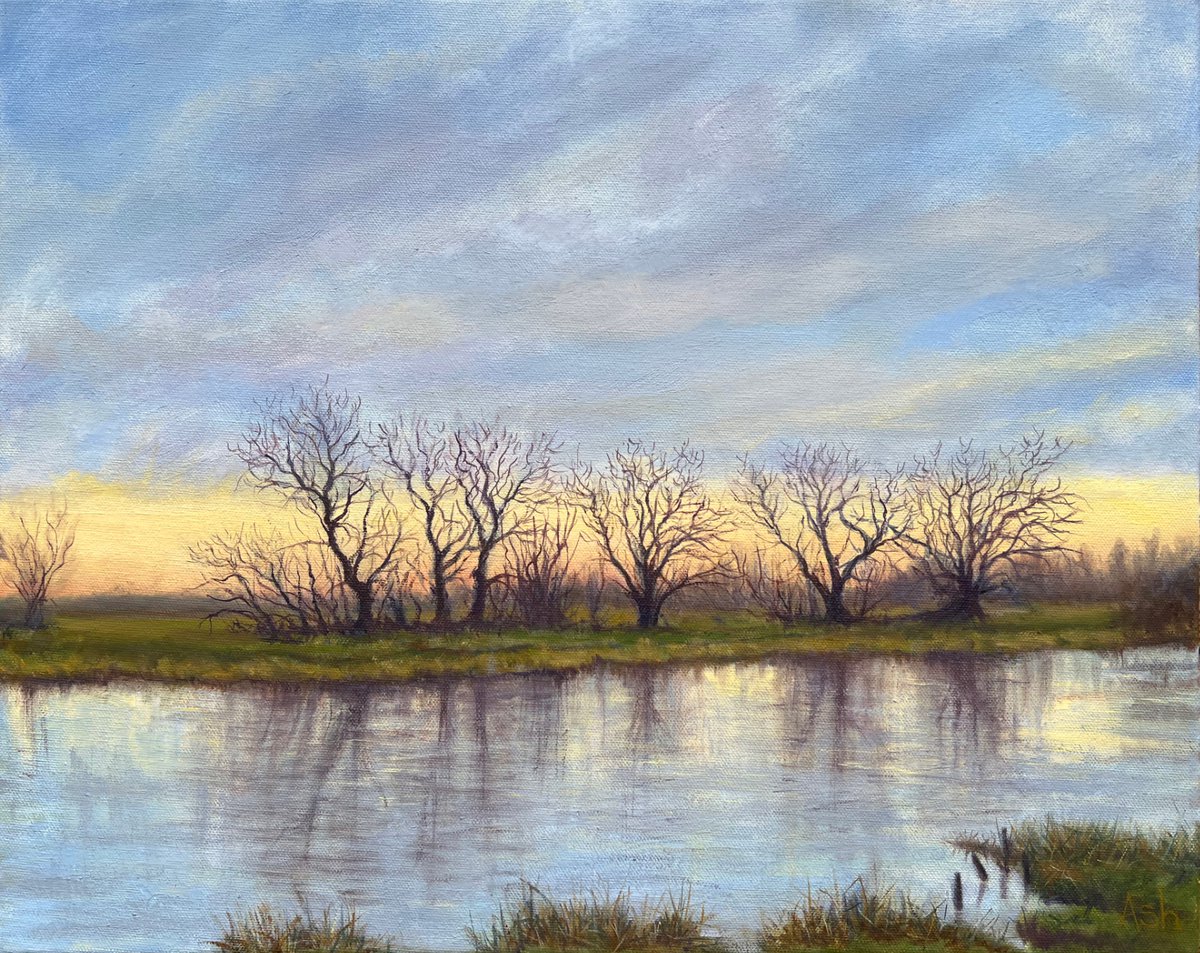 Impressionistic Landscape Oil Painting By Ashley Baldwin-Smith, 20 X 16, Ely Water Meadows, Original Artwork