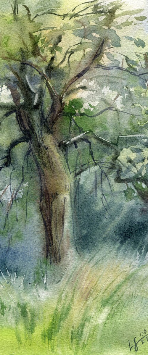 Watercolor landscape with an old tree by SVITLANA LAGUTINA