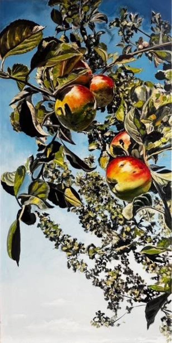 Oil Painting , August Apples By Valeriia Radziievska, 20 X 39, Artwork For Sale On Artfinder