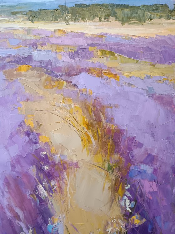 LAVENDER TIME