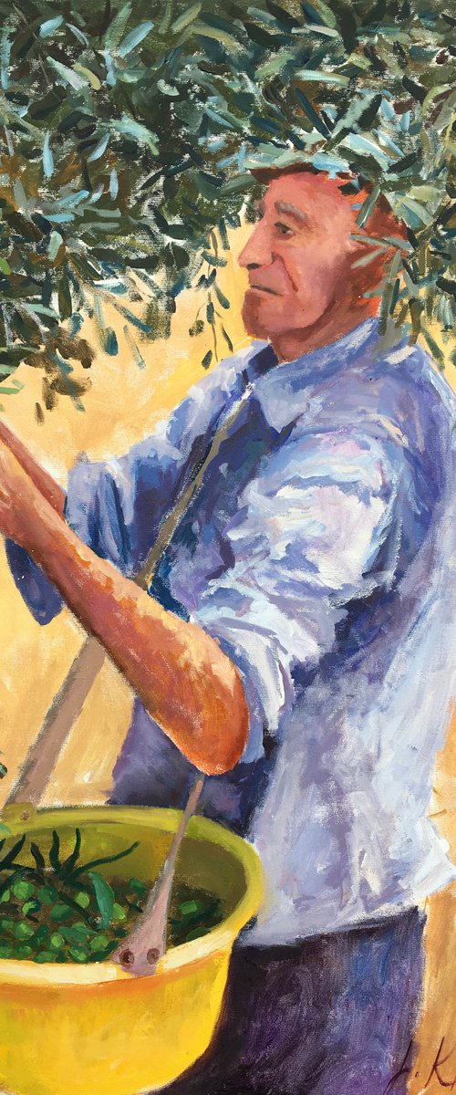 Olive picker, Israeli landscape, Olive trees painting by Leo Khomich