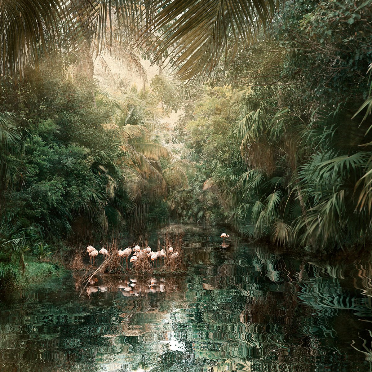 Impressionistic Landscape Photograph By Nadia Attura, 28 X 28", Backwaters Song, Original Artwork