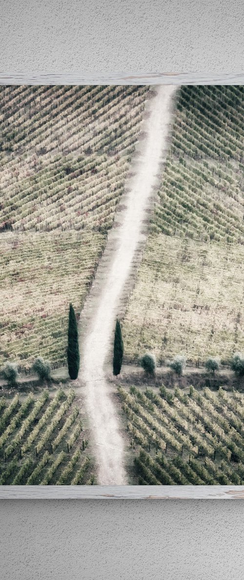 Geometric vineyards (studio 2) by Karim Carella